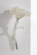 Load image into Gallery viewer, Fragile Futures