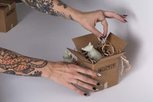 Load image into Gallery viewer, Concrete Raccoons by Emily May Rose