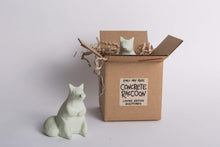 Load image into Gallery viewer, Concrete Raccoons by Emily May Rose