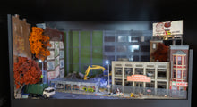 Load image into Gallery viewer, We Used to Shop Here