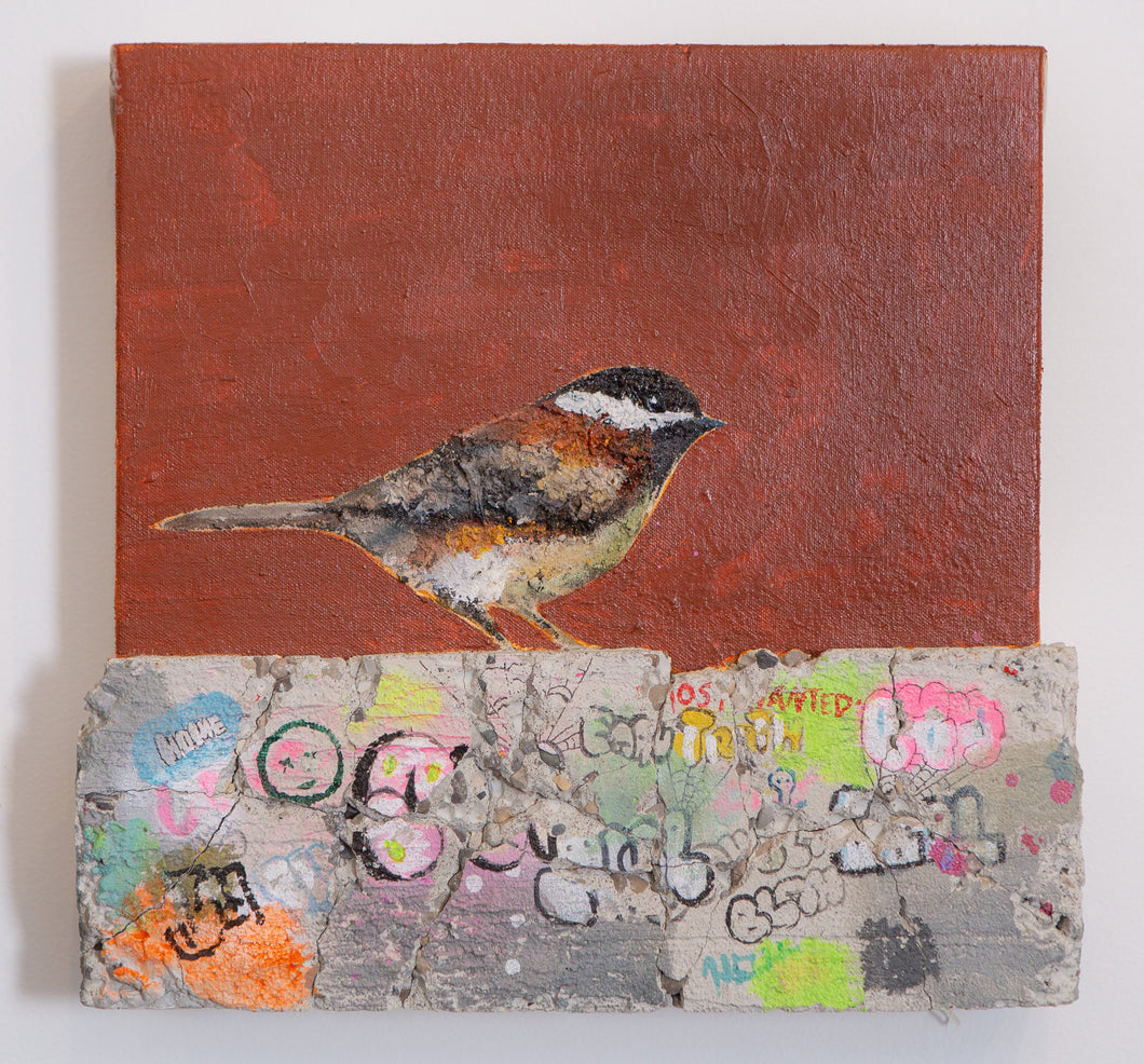 Concrete Sparrows (Brown)