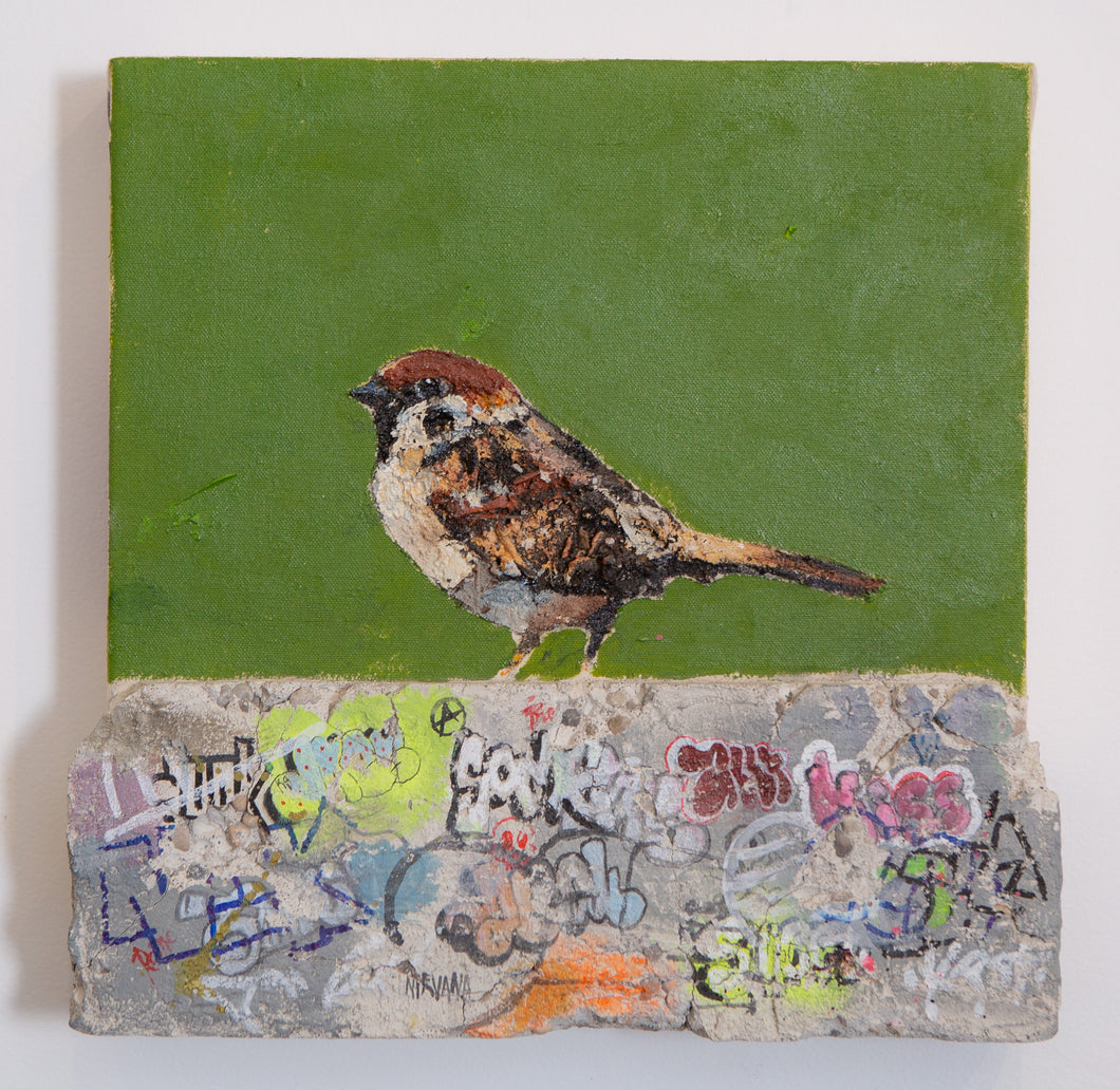 Concrete Sparrows (Green)
