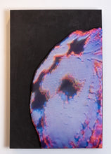 Load image into Gallery viewer, PVFO 3