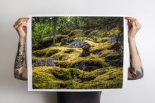 Load image into Gallery viewer, Moss-scapes