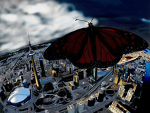 Load image into Gallery viewer, Butterfly Effect
