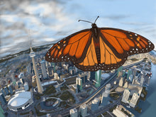 Load image into Gallery viewer, Butterfly Effect
