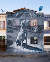 Load image into Gallery viewer, Little Neighbour / Pequeño Vecino
